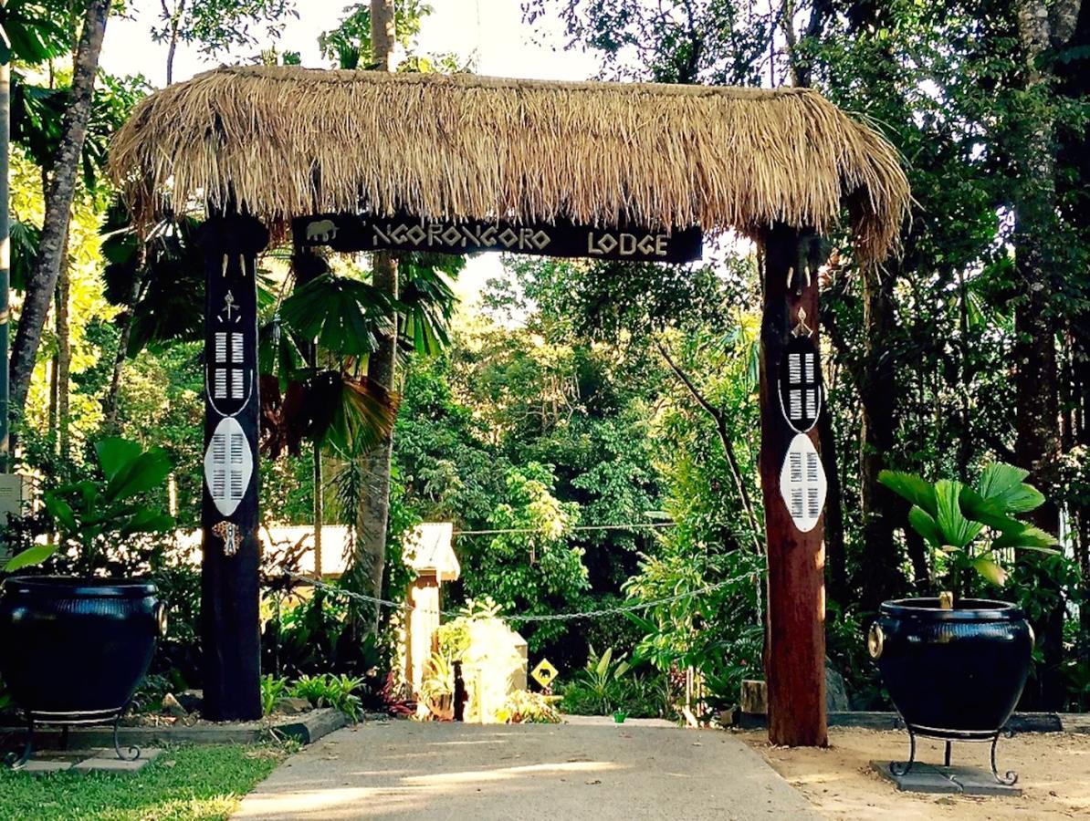 Kuranda Ngorongoro Lodge Exteriér fotografie