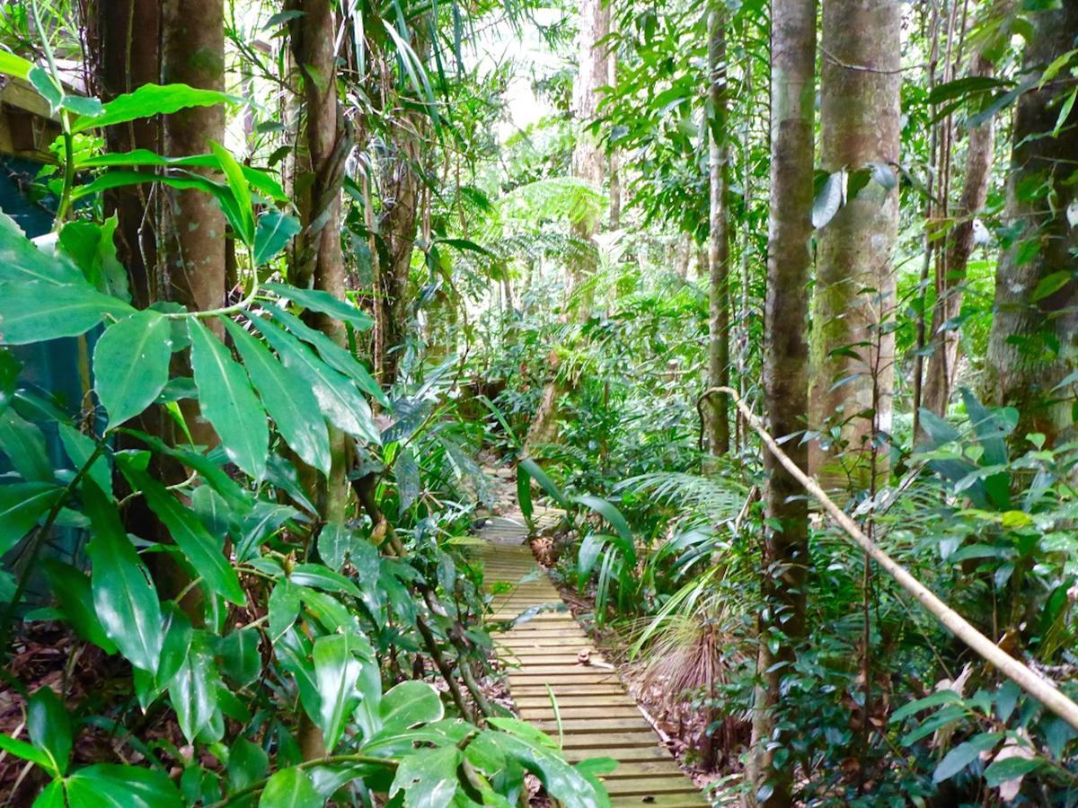 Kuranda Ngorongoro Lodge Exteriér fotografie